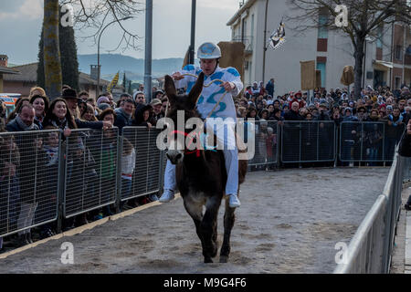 Torrita di Siena, Italia. 25 Mar, 2018. Il partecipante compete sulla asini su Marzo 25, 2018 a Torrita di Siena, Credito: risveglio Agenzia fotografica/Alamy Live News Foto Stock