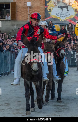 Torrita di Siena, Italia. 25 Mar, 2018. I partecipanti competono su asini su Marzo 25, 2018 a Torrita di Siena, Credito: risveglio Agenzia fotografica/Alamy Live News Foto Stock