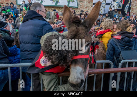 Torrita di Siena, Italia. 25 Mar, 2018. Gli asini sono stati celebrati dopo la vittoria su Marzo 25, 2018 a Torrita di Siena, Credito: risveglio Agenzia fotografica/Alamy Live News Foto Stock