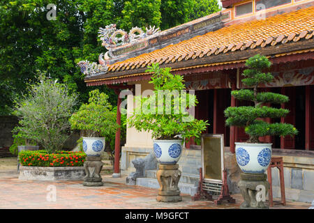 Alberi di bonsai sul tempio cinese cortile Foto Stock