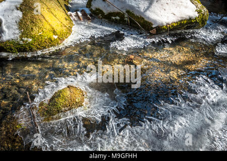 Close-up di una foresta brook, la fusione del ghiaccio sulla superficie. Bella luce dorata nell'acqua. Intorno ci sono pietre ricoperto con verde muschio. Foto Stock