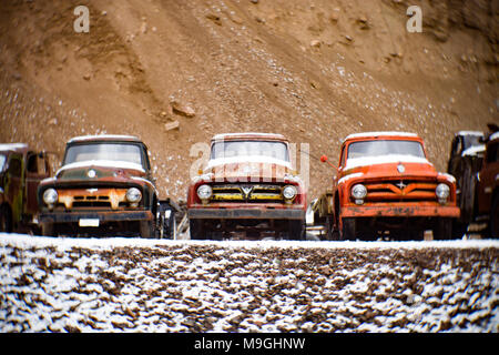 Una fila di old Ford 1953, 1954, e 1955 pick-up, in una vecchia cava, a est di Clark Fork Idaho. Foto Stock