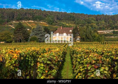 Chateau con vigneti nella stagione autunnale, Borgogna, Francia Foto Stock