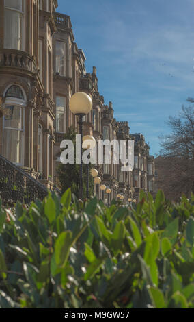 Una terrazza curvo di arenaria bionda Tenements vittoriano a Glasgow, Scozia Foto Stock