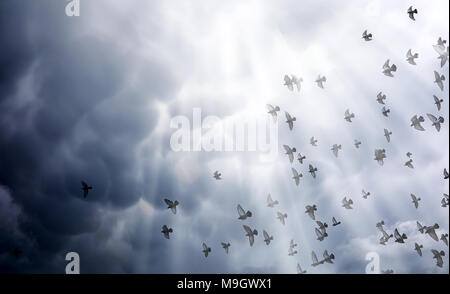 Pioggia nuvole nel cielo e un gregge di piccioni. I religiosi con Foto Stock