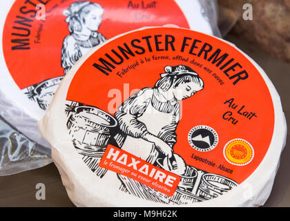 Famoso alsaziano Munster formaggio, Colmar, vino Alsaziano percorso, Francia Foto Stock