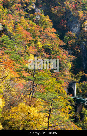 Naruko Gorge valley con il treno della ferrovia in tunnel di Miyagi Tohoku Giappone Foto Stock