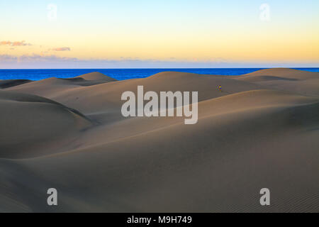 Increspata e sabbia liscia di dune di Maspalomas in Gran Canaria. Foto Stock