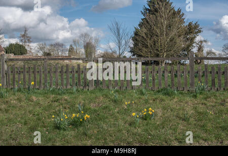 Giorno nuvoloso in Shropshire campagna Foto Stock