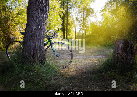 Vecchio dimenticato green sport bike nella Foresta Foto Stock