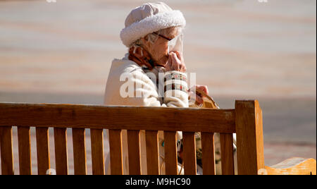 Un anziano alla moda donna seduta su una città sede di starnuti ripetuti in un fazzoletto su una calda soleggiata giornata di primavera a Dundee, Regno Unito Foto Stock