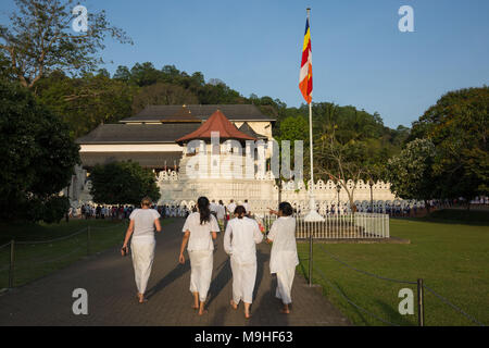 Vista posteriore dei turisti che visitano il tempio del Dente, Kandy, Sri Lanka, in Asia. Foto Stock