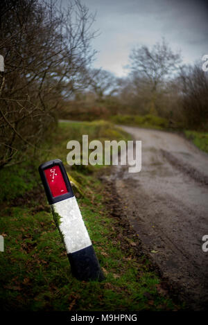 Cornish strada di campagna che conduce in lontananza, tranquilla strada di campagna Cornish Foto Stock