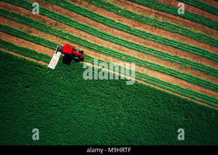 Il trattore rasaerba campo verde, vista aerea. Foto Stock