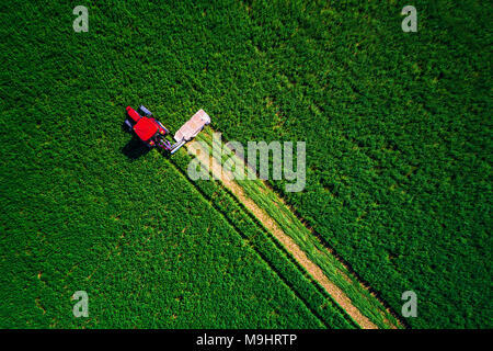 Il trattore rasaerba campo verde, vista aerea. Foto Stock