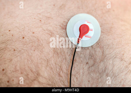 Monitor Holter dispositivo sensore sul maschio umano corpo. Daily cardiogram esame. Il grasso in eccesso persona. Elevato rischio di malattia cardial. La cura della salute e la prevenzione delle malattie Foto Stock