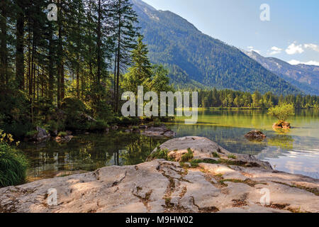 Königssee vista lago con spiaggia rocciosa, la pineta e la pendenza di montagna Foto Stock