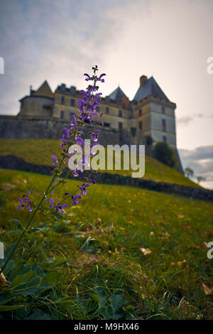 Il Château de Biron un castello nella valle del Lède nel comune di Biron in Dordogne Francia. Foto Stock