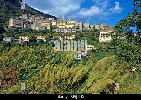 Il pittoresco villaggio di montagna Cervione, Corsica, Francia, mare Mediterraneo, Europa Foto Stock