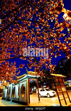 , Suzhou Suzhou, Cina. 26 Mar, 2018. Suzhou, Cina-26th Marzo 2018: orchidee fiorisce in notturna a Suzhou, est cinese della provincia di Jiangsu. Credito: SIPA Asia/ZUMA filo/Alamy Live News Foto Stock