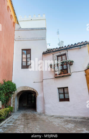 Antiche e tipiche case bianche lungo il quartiere ebraico di Juderia a Siviglia, Andalusia, Spagna Foto Stock