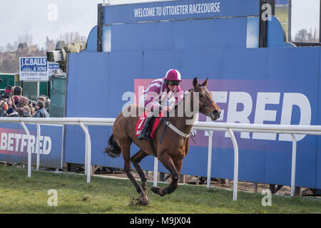 Uttoxeter Racecourse - Midlands gran giornata nazionale 2018 Foto Stock