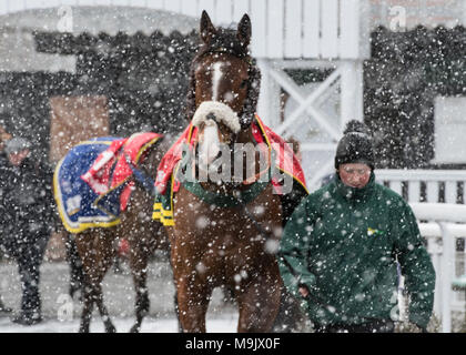 Uttoxeter Racecourse - Midlands gran giornata nazionale 2018 Foto Stock