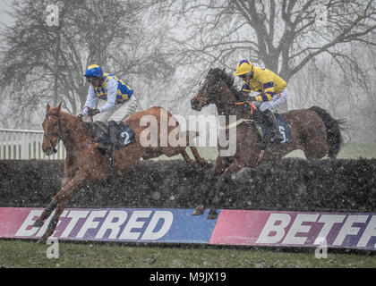 Uttoxeter Racecourse - Midlands gran giornata nazionale 2018 Foto Stock