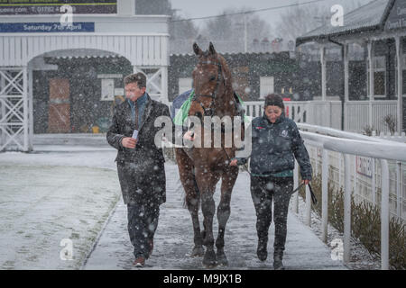 Uttoxeter Racecourse - Midlands gran giornata nazionale 2018 Foto Stock