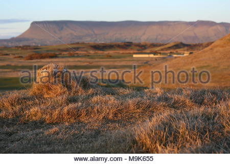 Una bella scena come il giorno volge al termine vicino al villaggio costiero di Rosses Point sulla costa occidentale dell'Irlanda. Foto Stock