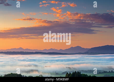 Alba sul Auerberg al di sopra della nebbia Valle del Lech, Baviera, Germania Foto Stock