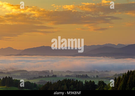 Alba sul Auerberg al di sopra della nebbia Valle del Lech, Baviera, Germania Foto Stock