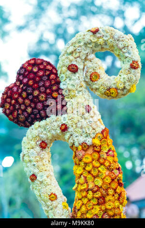 Xerochrysum bracteatum è una forma di cuore ornamento che viene utilizzato in arredamento di casa o in giardino per creare un paesaggio rilassante per gli esseri umani. Foto Stock