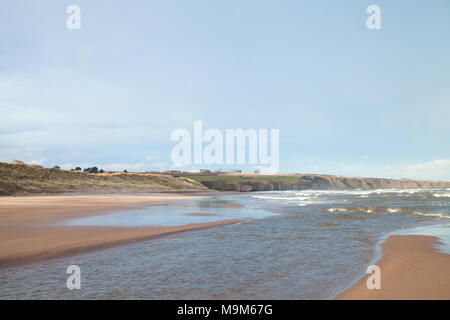 Lunan Bay beach vicino a Montrose Scozia Scotland Foto Stock