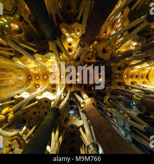 Ampio angolo di vista fino all'interno de la Sagrada Familia di Barcellona Foto Stock