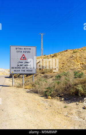 Trilingue segno di avvertimento, state attenti ai cammelli vicino alla strada, nel deserto del Negev, Israele sud Foto Stock