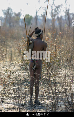 San tribù boscimani, noto anche come le prime tribù di Africa, caccia nella macchia circostante in Namibia dopo una bussola fire. Foto Stock