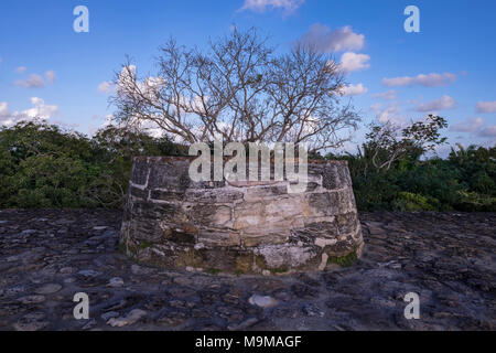 Antico tempio Maya e rovine di Altun Ha, Belize Foto Stock