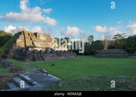 Antico tempio Maya e rovine di Altun Ha, Belize Foto Stock