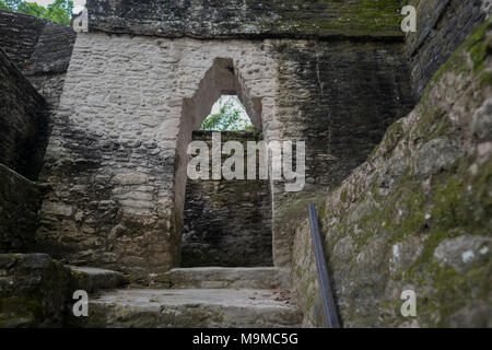 Corbel portali ad arco in una rovina Maya in Cahel Pech, Belize Foto Stock