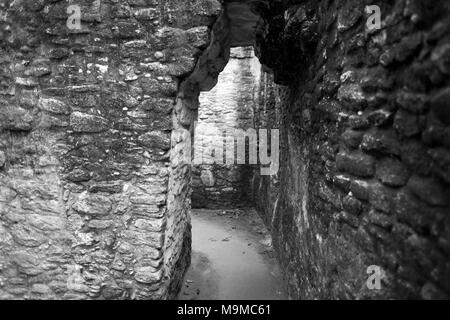 Corbel portali ad arco in una rovina Maya in Cahel Pech, Belize Foto Stock