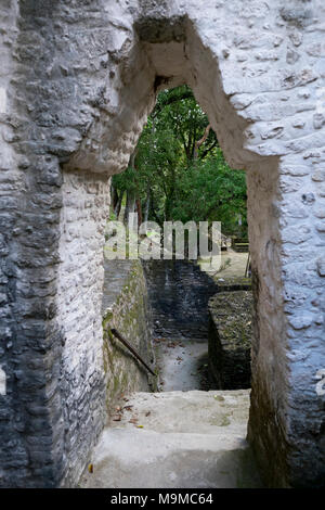 Corbel portali ad arco in una rovina Maya in Cahel Pech, Belize Foto Stock