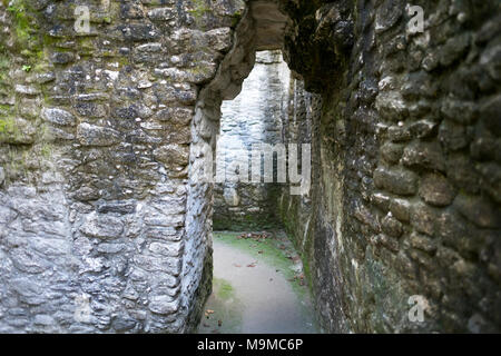 Corbel portali ad arco in una rovina Maya in Cahel Pech, Belize Foto Stock