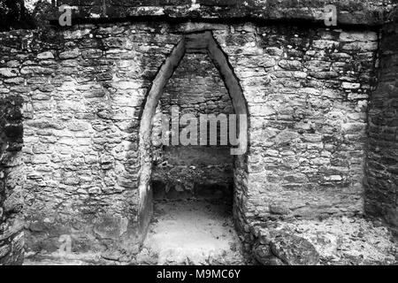 Corbel portali ad arco in una rovina Maya in Cahel Pech, Belize Foto Stock