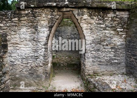 Corbel portali ad arco in una rovina Maya in Cahel Pech, Belize Foto Stock