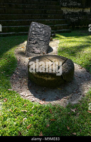 Antiche rovine maya di un altare e stele in Tikal, Guatemala Foto Stock