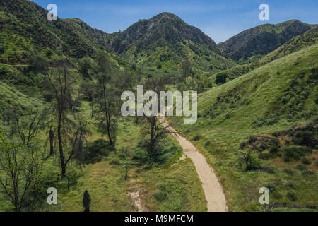 La sporcizia sentiero si snoda attraverso il verde delle colline della California del Sud. Foto Stock