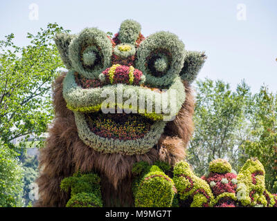 Drago Cinese scultura vegetali: un enorme a base di vegetali scultura cinese del mitico dragon formata da una moltitudine di piante colorate a MosaiCanada 150. Foto Stock