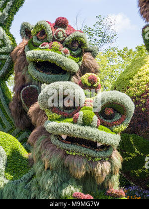 Drago Cinese capi impianto scultura: un enorme a base di vegetali scultura di una coppia di cinesi mitici dragoni formata da una moltitudine di piante colorate a MosaiCanada 150. Foto Stock