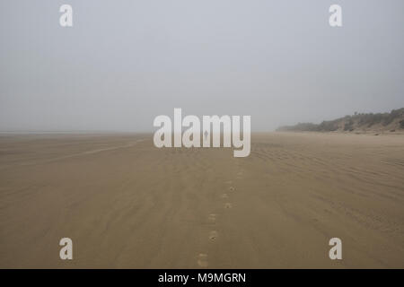 Spiaggia vuota, Surat Bay, il Catlins, Nuova Zelanda Foto Stock